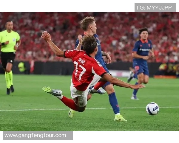 005尼斯与图卢兹的精彩对决谁能在法甲赛场上笑到最后